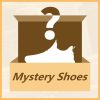 Mystery Luxury Brand Shoes